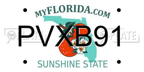 PVXB91 Florida License Plate