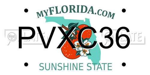 PVXC36 Florida License Plate