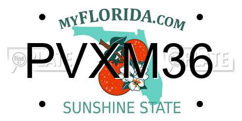 PVXM36 Florida License Plate