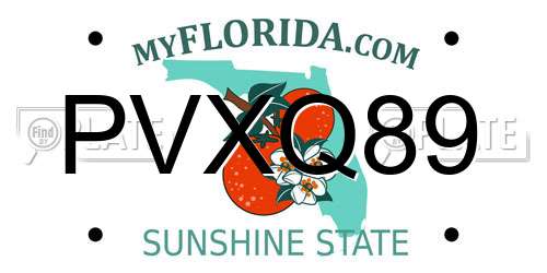 PVXQ89 Florida License Plate