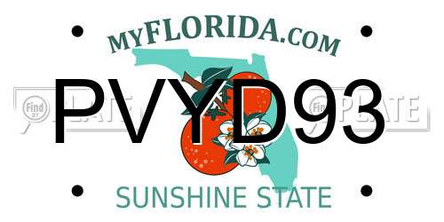 PVYD93 Florida License Plate