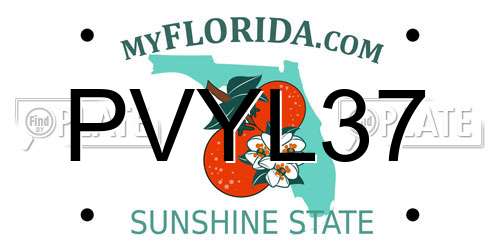 PVYL37 Florida License Plate