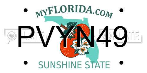 PVYN49 Florida License Plate