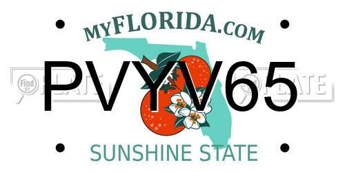 PVYV65 Florida License Plate