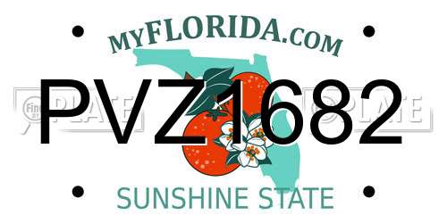 PVZ1682 Florida License Plate