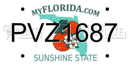 PVZ1687 Florida License Plate