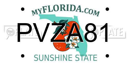 PVZA81 Florida License Plate