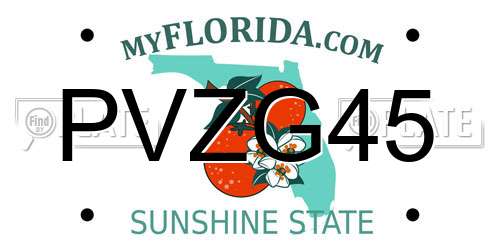 PVZG45 Florida License Plate