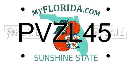PVZL45 Florida License Plate
