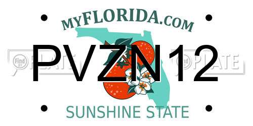 PVZN12 Florida License Plate