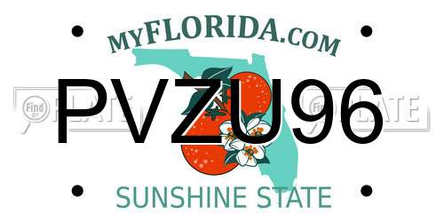 PVZU96 Florida License Plate