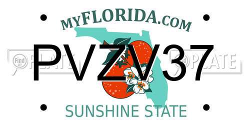PVZV37 Florida License Plate
