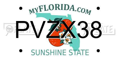 PVZX38 Florida License Plate