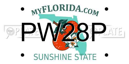 PW28P Florida License Plate