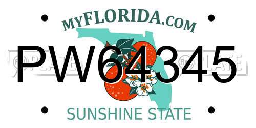 PW64345 Florida License Plate