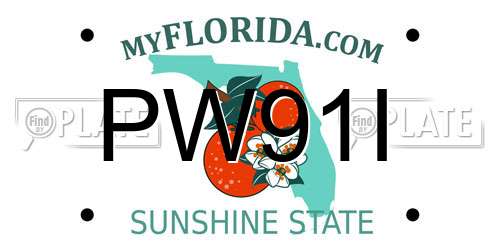 PW91I Florida License Plate
