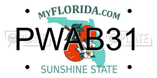 PWAB31 Florida License Plate