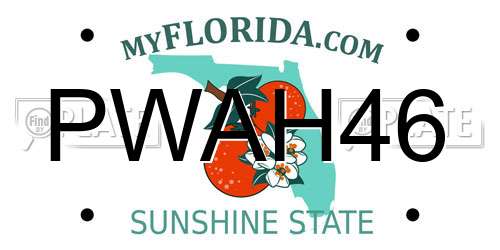 PWAH46 Florida License Plate
