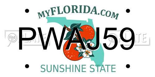 PWAJ59 Florida License Plate