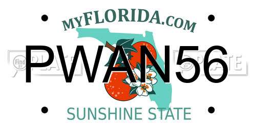 PWAN56 Florida License Plate