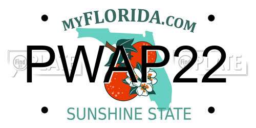 PWAP22 Florida License Plate