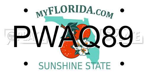 PWAQ89 Florida License Plate
