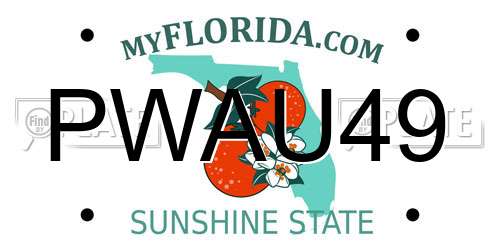 PWAU49 Florida License Plate
