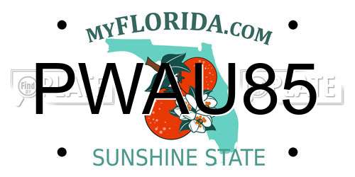 PWAU85 Florida License Plate