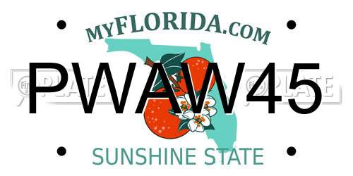PWAW45 Florida License Plate