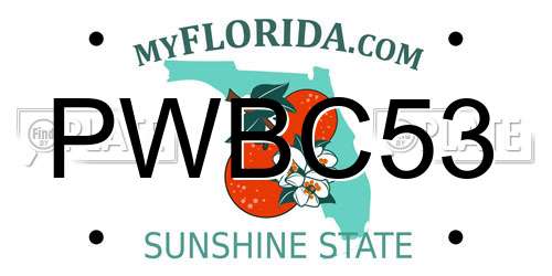 PWBC53 Florida License Plate