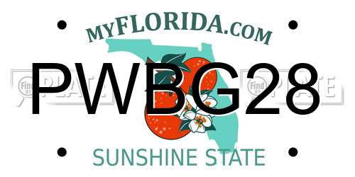 PWBG28 Florida License Plate