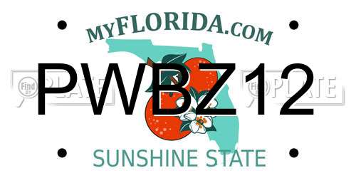 PWBZ12 Florida License Plate