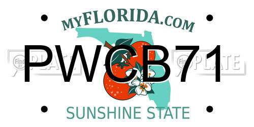 PWCB71 Florida License Plate