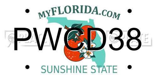 PWCD38 Florida License Plate