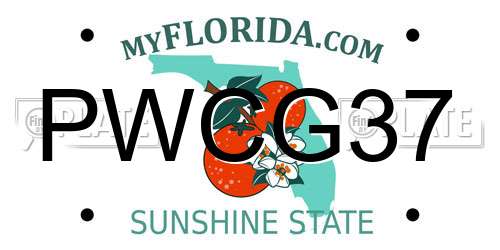 PWCG37 Florida License Plate