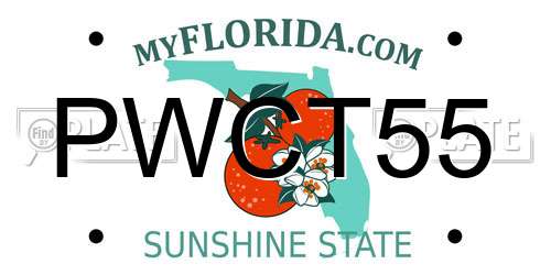 PWCT55 Florida License Plate