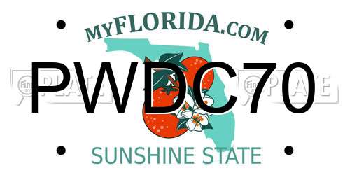 PWDC70 Florida License Plate