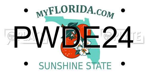 PWDE24 Florida License Plate