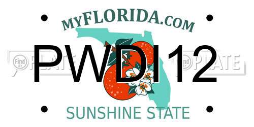 PWDI12 Florida License Plate