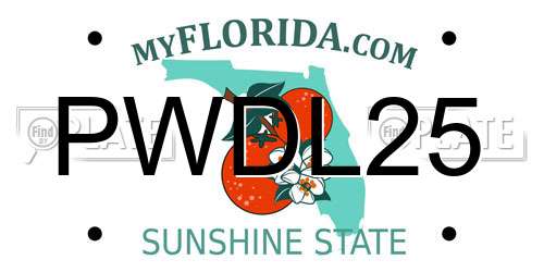 PWDL25 Florida License Plate