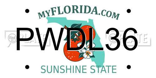 PWDL36 Florida License Plate