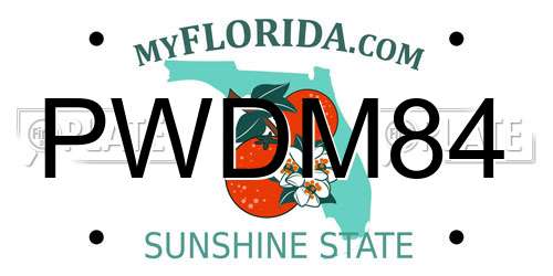 PWDM84 Florida License Plate