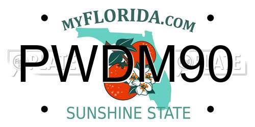 PWDM90 Florida License Plate