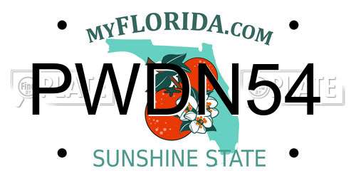 PWDN54 Florida License Plate