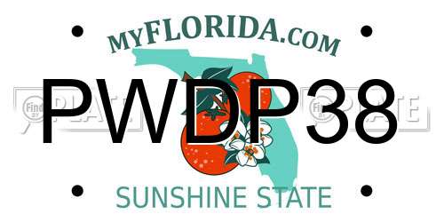 PWDP38 Florida License Plate