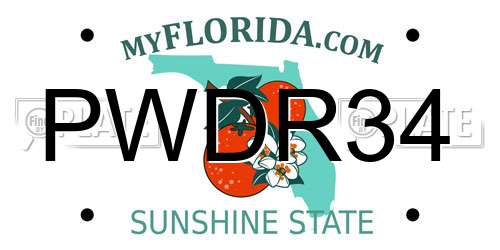 PWDR34 Florida License Plate