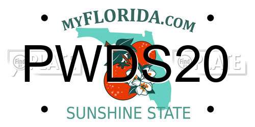 PWDS20 Florida License Plate