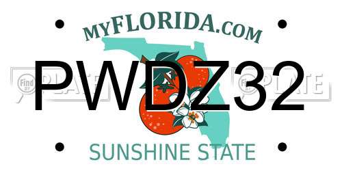PWDZ32 Florida License Plate
