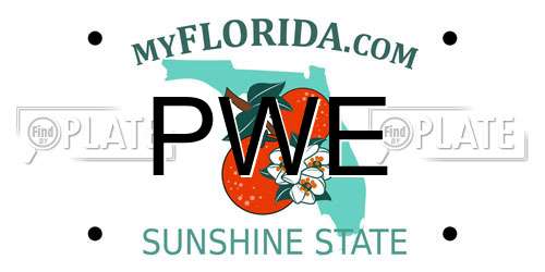 PWE Florida License Plate