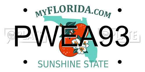 PWEA93 Florida License Plate